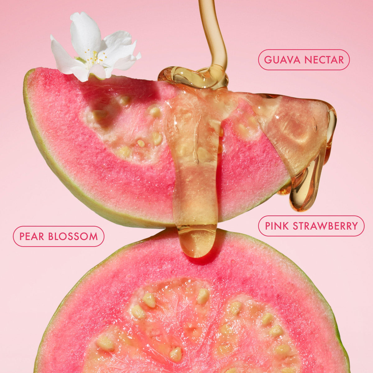 mini-body-butter-trio-a6 BodyButterBalmPinkGuava_3.jpg