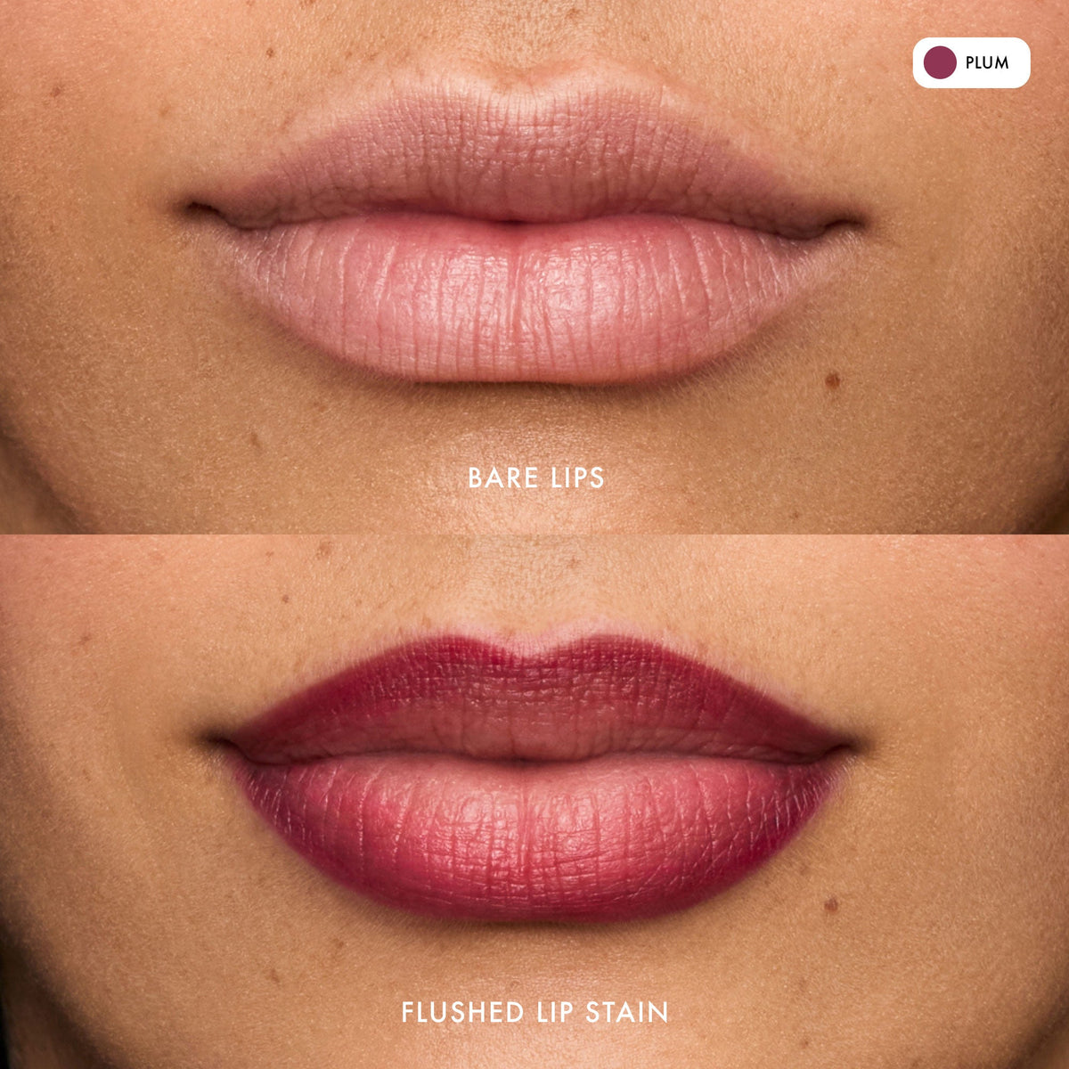 flushed-lip-stain-plum-c0 FlushedLipStain_Plum_B_A.jpg