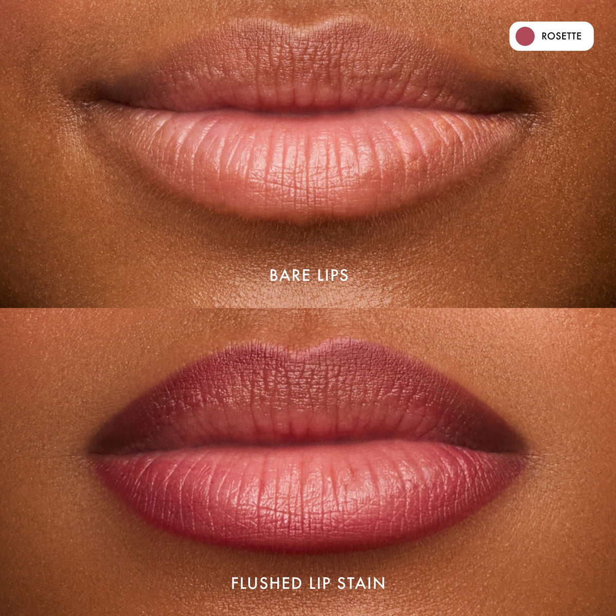 flushed-lip-stain-rosette-z7 FlushedLipStain_Rosette_B_A.jpg