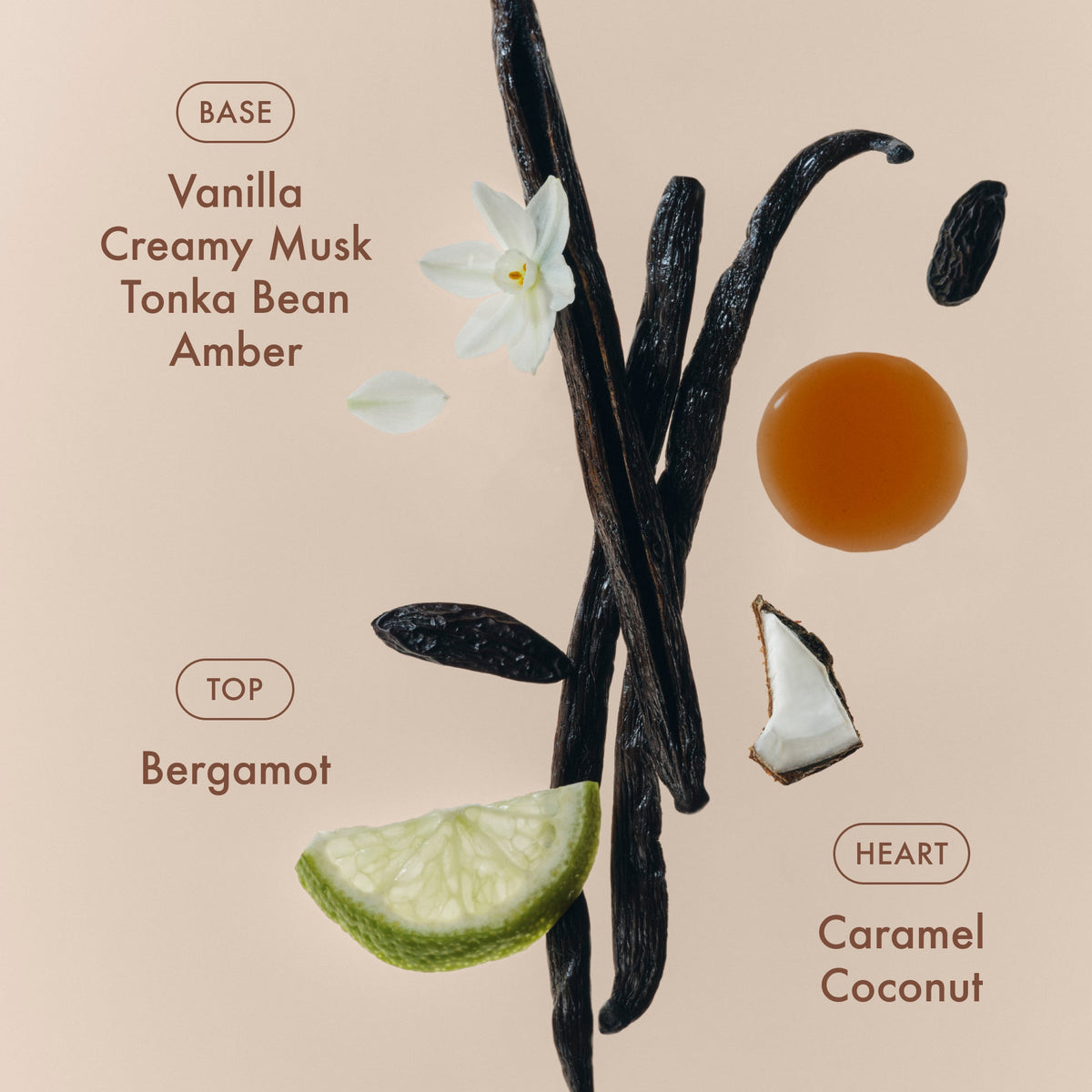 sunlit-vanillatm-eau-de-parfum-travel-size-b5 SunlitVanilla_4.jpg